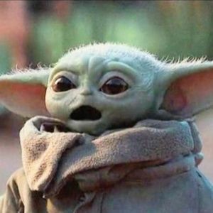 Meet your Posher, Carolyn